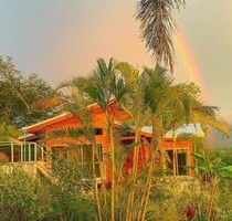 Pura Vida in der Blue Zone Hojancha Samara Playa Carillo