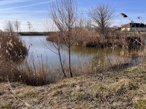 Bild 3 - 3 Zimmer Einfamilienhaus in Öregcsertő