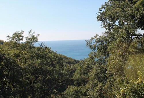 Bild 1 - Haus 21m2 am Strand Grund 300m2