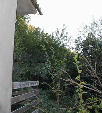 Bild 2 - 1 Zimmer Einfamilienhaus zum Kaufen in Kreis Bar