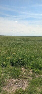 Bild 1 - 600 ha Ackerland - 6.600.000,00 EUR Kaufpreis, ca. 6.000.000,00 m²