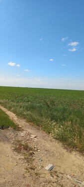 Bild 2 - Grundstück zum Kaufen in Pescari jud