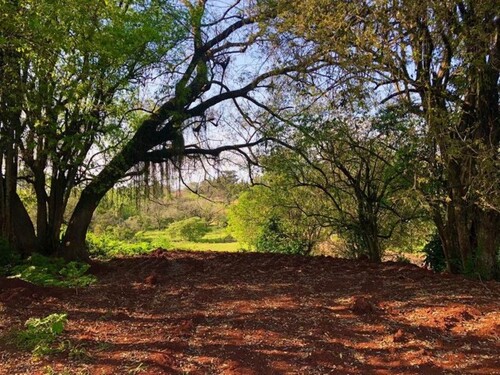 Bild 2 - 1 Zimmer Einfamilienhaus zum Kaufen in Bella Vista (Itapua)
