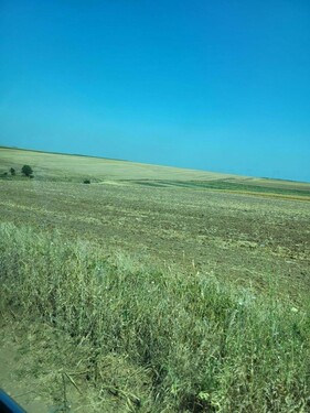 Bild 1 - 200 ha Ackerland im Kreis Giurgiu