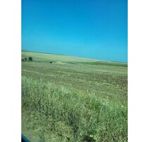 200 ha Ackerland im Kreis Giurgiu - Pescari