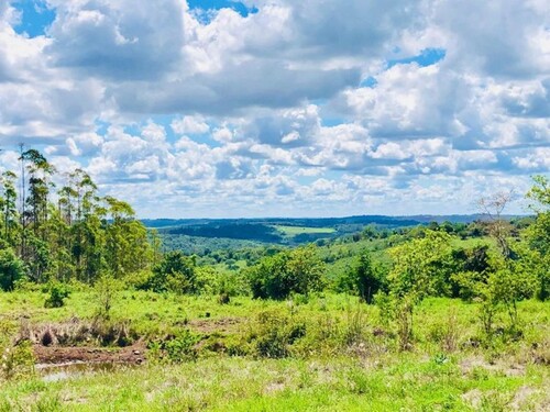 Bild 3 - Grundstück in Capitan Miranda