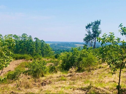 Bild 4 - Grundstück in Capitan Miranda zum Kaufen