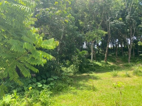 Bild 1 - Grundstück in bester Lage auf Phuket