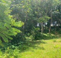 Grundstück in bester Lage auf Phuket