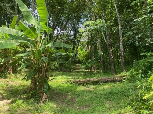 Bild 4 - Grundstück in Phuket zum Kaufen