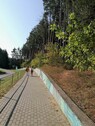 Bild 2 - Grundstück zum Kaufen in Lazdijai