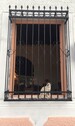 Bild 3 - 5 Zimmer Einfamilienhaus in Juan Griego