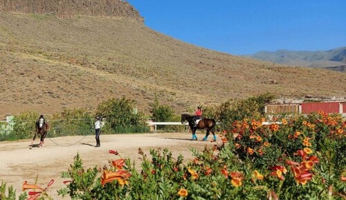 Bild 2 - 4 Zimmer Einfamilienhaus zum Kaufen in Agüimes
