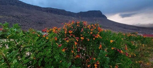 Bild 3 - 4 Zimmer Einfamilienhaus in Agüimes