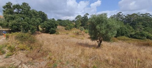 Bild 1 - Fanily Bauernhof 4 acre Land 12 Minuten Auto zu Lissabon