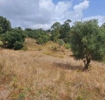 Fanily Bauernhof 4 acre Land 12 Minuten Auto zu Lissabon - Lousa Loures