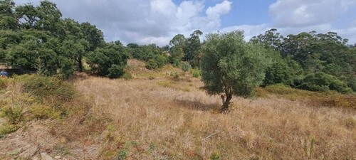 Bild 2 - 1 Zimmer Einfamilienhaus zum Kaufen in Lousa Loures