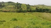 Bild 1 - Fanily Bauernhof 24 Acre 9 Hektar mit Ruinen