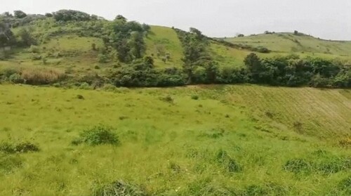 Bild 1 - Fanily Bauernhof 24 Acre 9 Hektar mit Ruinen