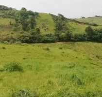 Fanily Bauernhof 24 Acre 9 Hektar mit Ruinen - Jerumelo