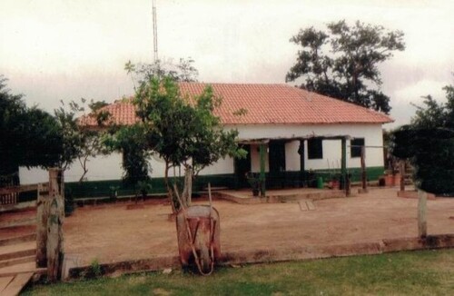 Bild 1 - Brasilien Rinderzuchtfarm in der Region Pantan 31076 Hektar