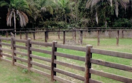 Bild 2 - Grundstück zum Kaufen in Pantanal