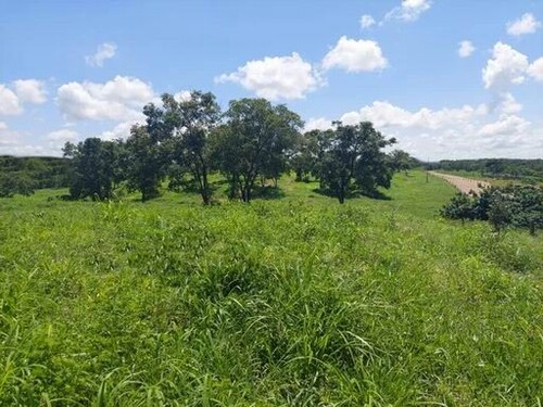 Bild 4 - Grundstück in Cáceres zum Kaufen