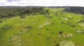 Bild 1 - 4350 Hektar Agro-Rinderzucht-Landfläche in Brasilien