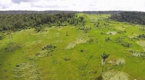 Bild 1 - 4350 Hektar Agro-Rinderzucht-Landfläche in Brasilien