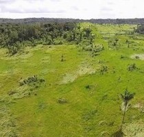 4350 Hektar Agro-Rinderzucht-Landfläche in Brasilien - Bagre