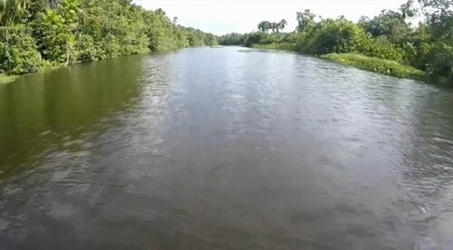 Bild 3 - Grundstück in Bagre