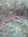 Bild 2 - Grundstück zum Kaufen in Döbrököz