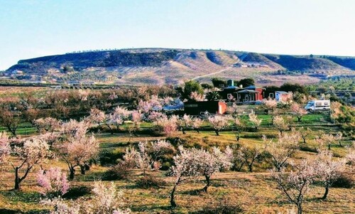 Bild 2 - 7 Zimmer Einfamilienhaus zum Kaufen in Arenas del Rey