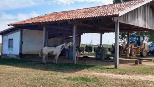 Bild 2 - 1 Zimmer Einfamilienhaus zum Kaufen in Poconé
