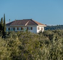 Finca mit Olivenplantage - 490.000,00&nbsp;EUR Kaufpreis, ca.&nbsp; 220,00&nbsp;m&sup2;&nbsp;Wohnfl&auml;che in Tarragona (PLZ: 1234)