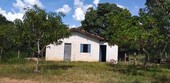Bild 1 - Fazenda-Bauernhof mit 410 ha Region Goias