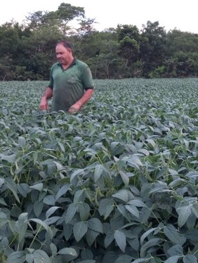 Bild 4 - Einfamilienhaus mit 300,00 m&sup2; in Rio Sono zum Kaufen