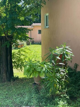 Bild 4 - Einfamilienhaus mit 71,00 m² in Kran zum Kaufen