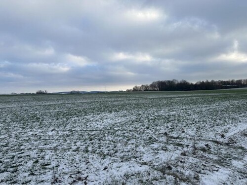 Bild 3 - Grundstück in Lelkendorf / Gottin