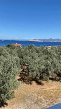 Bild 2 - 2 Zimmer Etagenwohnung zum Kaufen in San georgio _ methana