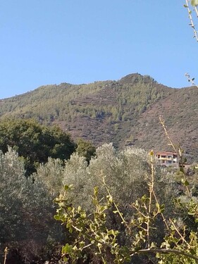 Bild 3 - 2 Zimmer Etagenwohnung in San georgio _ methana