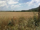 Bild 1 - Zu verkaufen 19021m2 Bauland Bulgarien