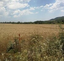 Zu verkaufen 19021m2 Bauland Bulgarien - Medovo