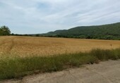 Bild 2 - Grundstück zum Kaufen in Medovo