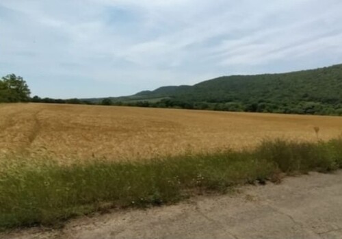 Bild 2 - Grundstück zum Kaufen in Medovo