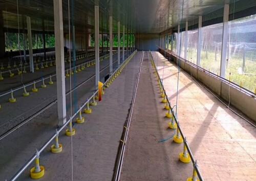 Bild 1 - 82 Hektar grosse Fischzucht und Hühnerfarm in Brasilien