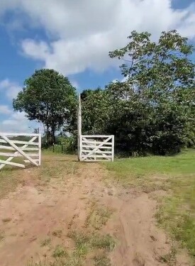 Bild 3 - Grundstück in São João da Ponta