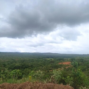 Bild 1 - Riesengrosses 2000 Ha Grundstück mit Rohstoffen