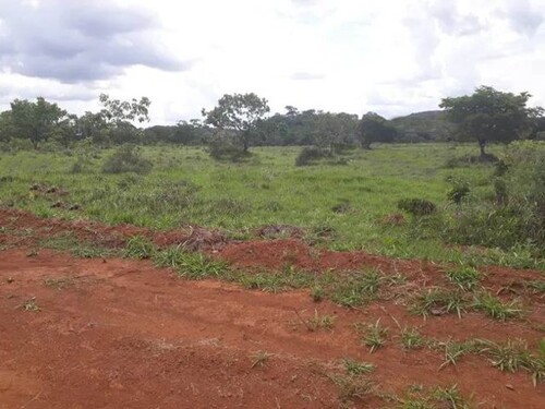 Bild 3 - Grundstück in Carauari