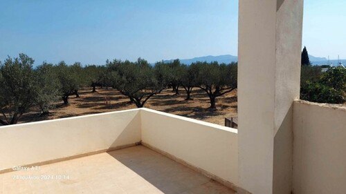 Bild 4 - Etagenwohnung mit 550,00 m² in Ag georgios methana zum Kaufen